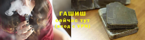 сатива Бородино