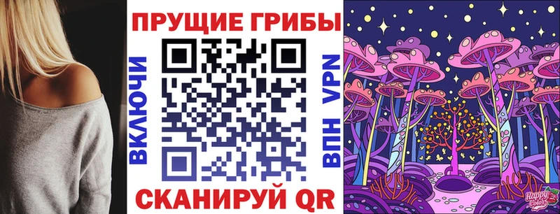 Псилоцибиновые грибы Psilocybine cubensis купить наркотики сайты Кингисепп